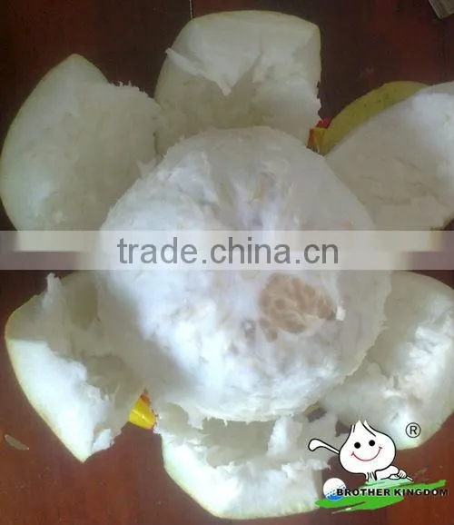China yellow honey pomelo