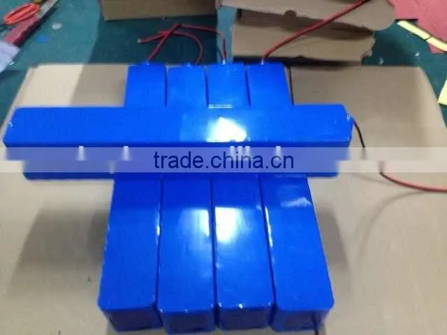 OEM professional manufacturer custom rechargeable 12v lithium battery pack