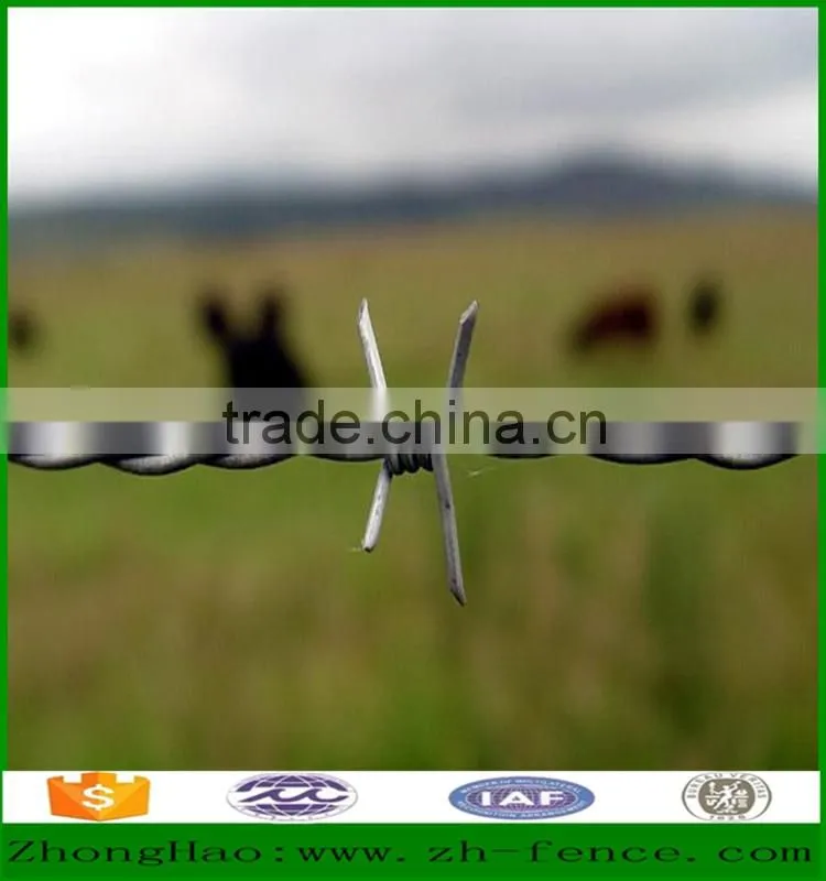 Hot dipped galvanized and PVC coated Barb Wire high security fence