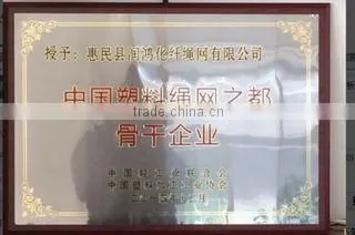 Shandong Binzhou Tuniu Industry And Trading Co., Ltd. company overview - view 2