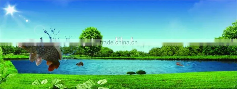 CHONGKEXING Kill insect in water aquaculture USE insecticide & disease prevention