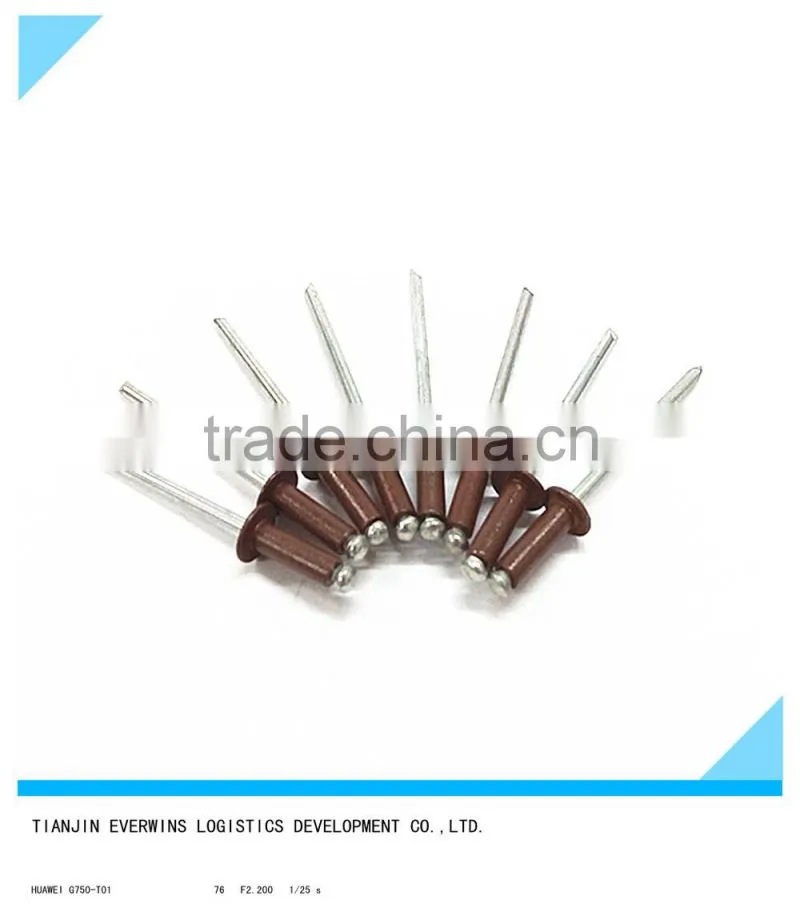 Brown color Rivet