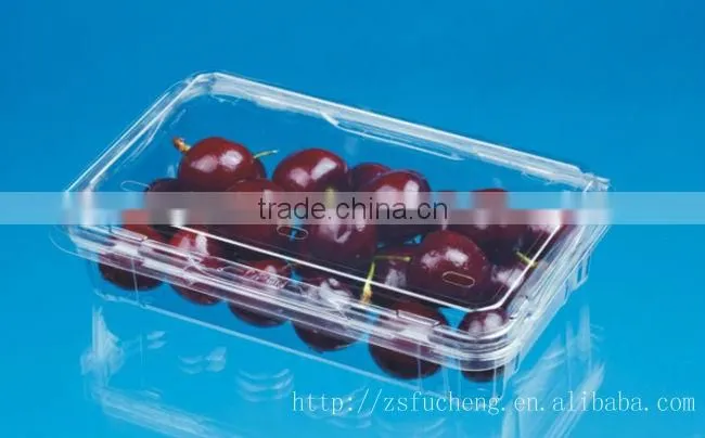 PET Fruit Container, Small Salad Container