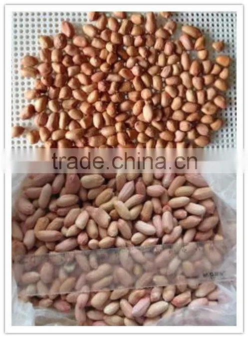 New Crop Peanut kernels ,long and round type for sale