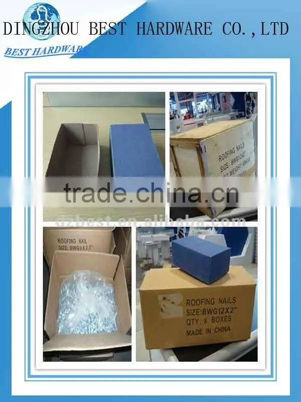 low price galvanizaed roofing nail with umbrella head