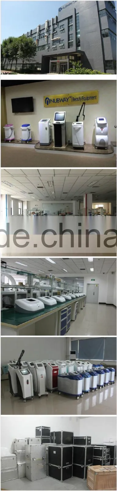 Salon Used Body Slim Machine Cryolipolysis Fat Freezing