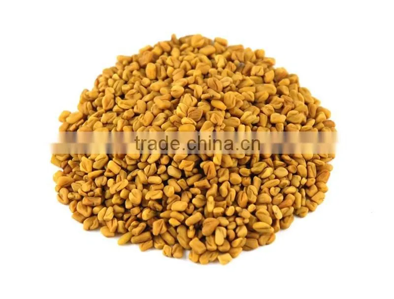 High Grade Fenugreek Seed