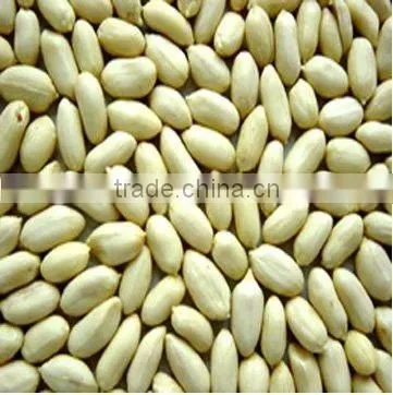 Chinese shandong new crop raw peanut kernels