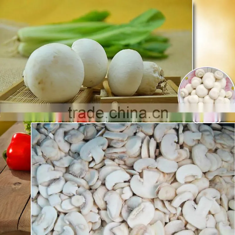 Frozen Agaricus bisporus IQF Agaricus bisporus