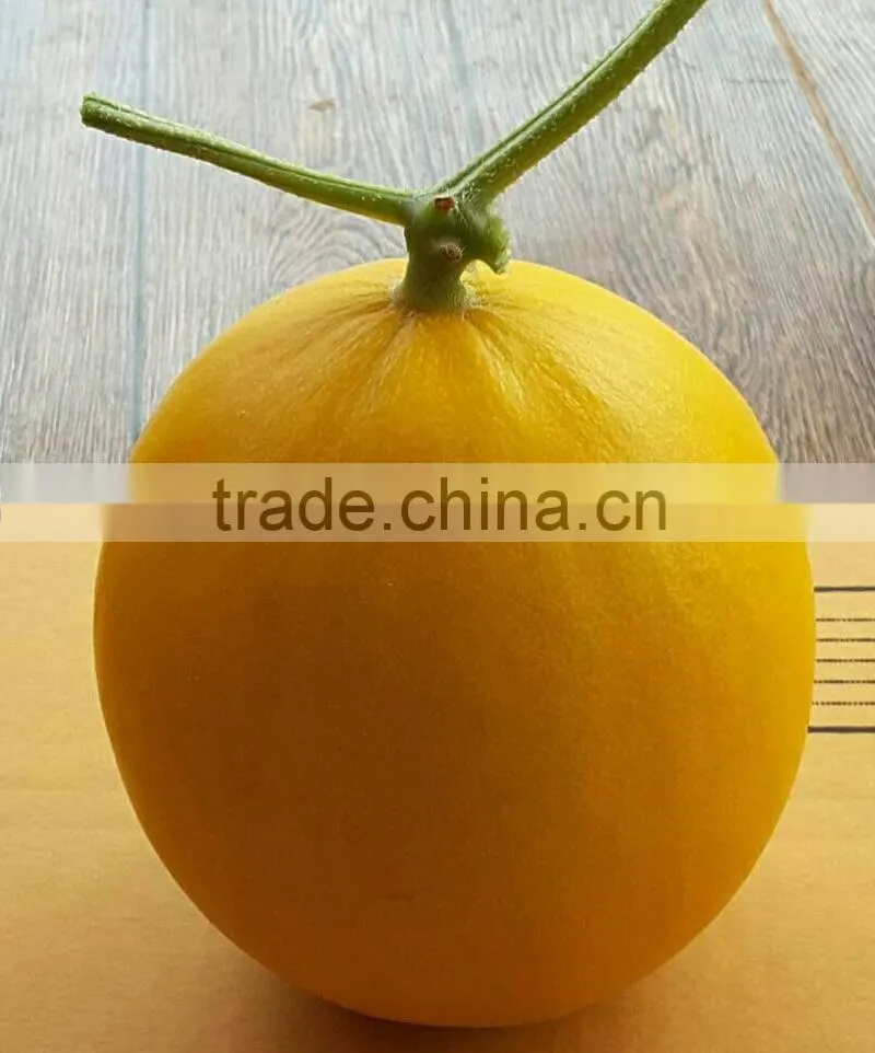 Hybrid F1 Yellow Melon Seed Cantaloupe Seeds For Sale-Torch F1