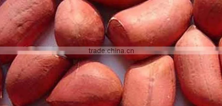 HIGH QUALITY GROUNDNUT KERNEL 40/50