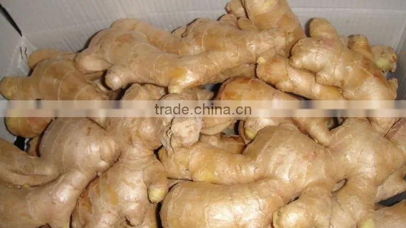 Organic fresh ginger