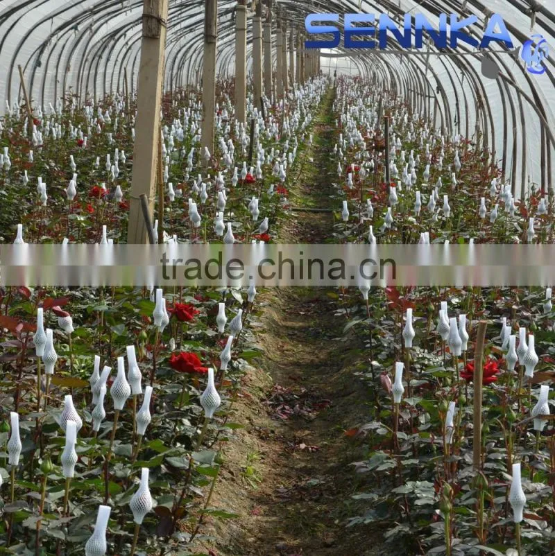 Quality fresh cut flower in China /design roses/jasmine/decorative natural flowers