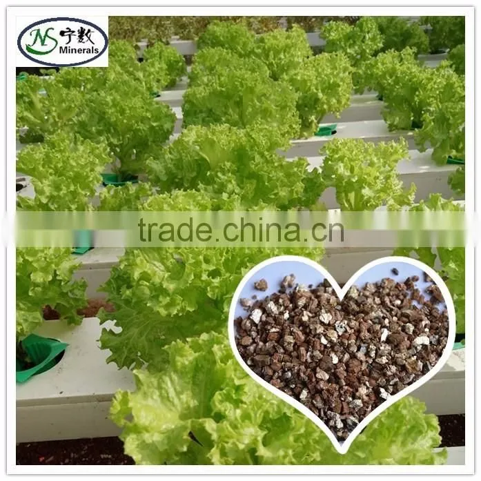 agriculture vermiculite in Vermiculite type for growing media