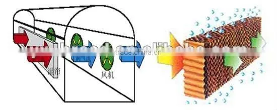 Wet Curtain for Poultry Farm