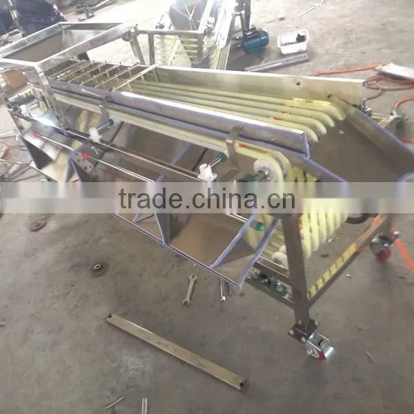 Date Grading Machine, Date Sorting Machine, Chinese Date Processing Machine