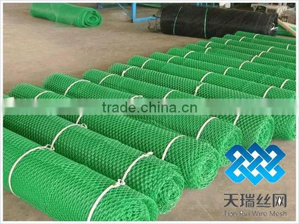 Plastic net