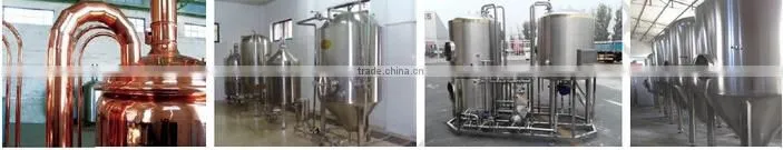 500L per batch beer brewery equipment beer brewing equipment