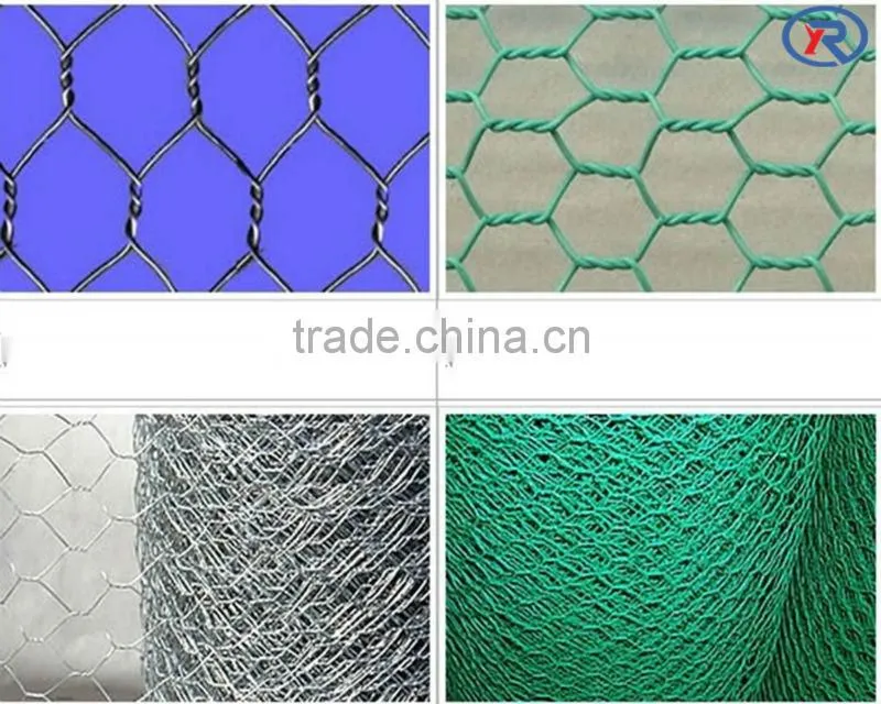 High Quality lowest price Galvanized Hexagonal Wire Mesh (Chicken Mesh) made in china
