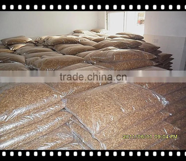 Dried Pet Food 100% Natural Wild Bird Food Microwave Dried Mealworms