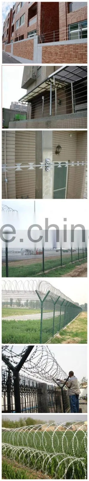 high quality concertina wire razor barbed wire with factory price