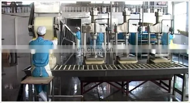 industrial boxed Tofu equipment for soybean milk /tofu maker processing machine