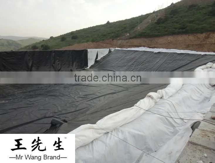 Composite geomembrane with geotextile for dam construction*