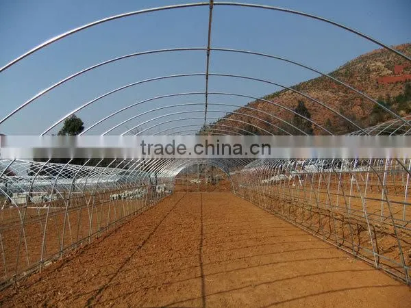 200 micro UV High Tunnel Greenhouse