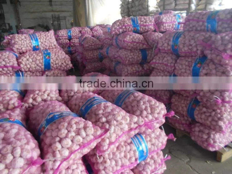 2016 New Crop Chinese Red Garlic