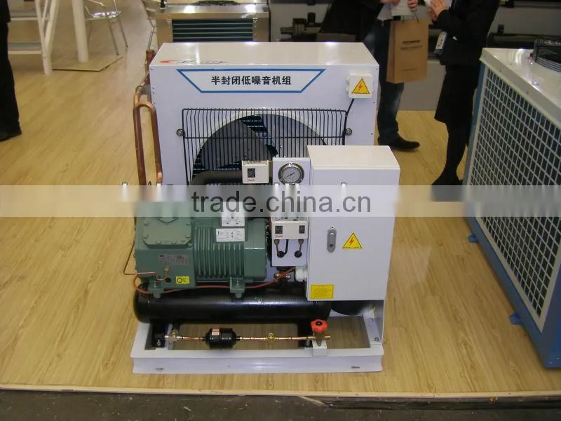 Refrigeration Cold Room Condensing Unit with Low Noise (FNS Series)