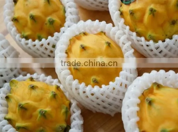 EPE foam sleeve net for dragon fruit