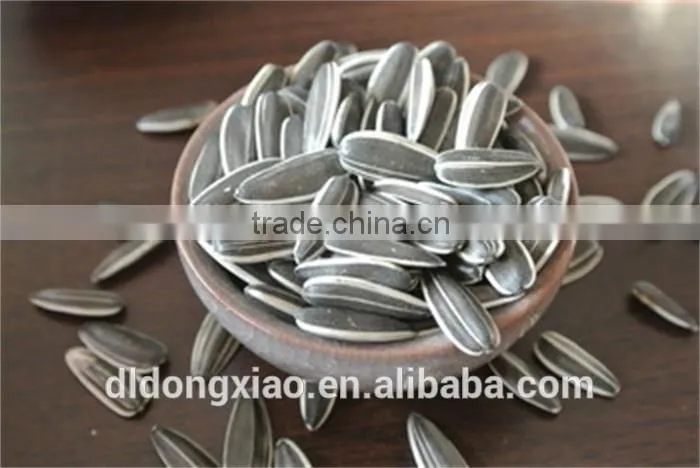 High Quality Raw Sunflower Seeds for Oil Price