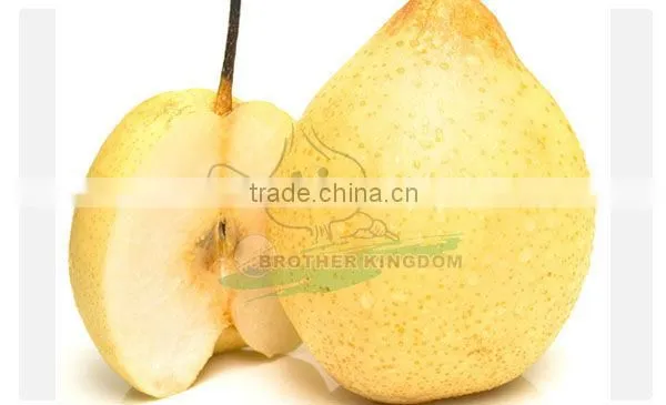 Sell Pear/Ya pear/Fresh ya pear