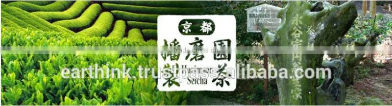 Instant Japanese organic easy matcha green tea powder middle grade instant tea powder 30g bag