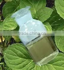 Mint Oil
