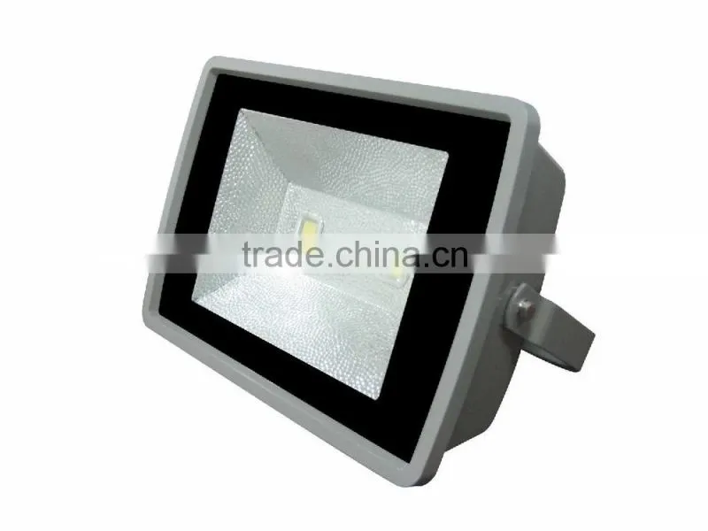 LED FloodLight cob 100w