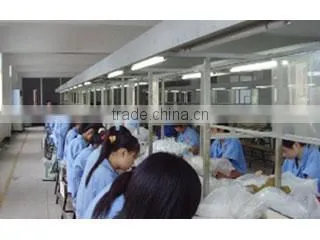 Changzhou Saihua Hancheng Electronic Co., Ltd. company overview - view 2