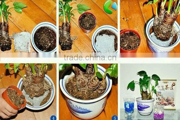 high absorbency sap water retaining gel for horticulture