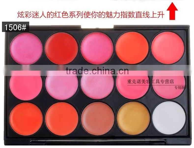 OEM Professional lipgloss palette 15 color high light blusher