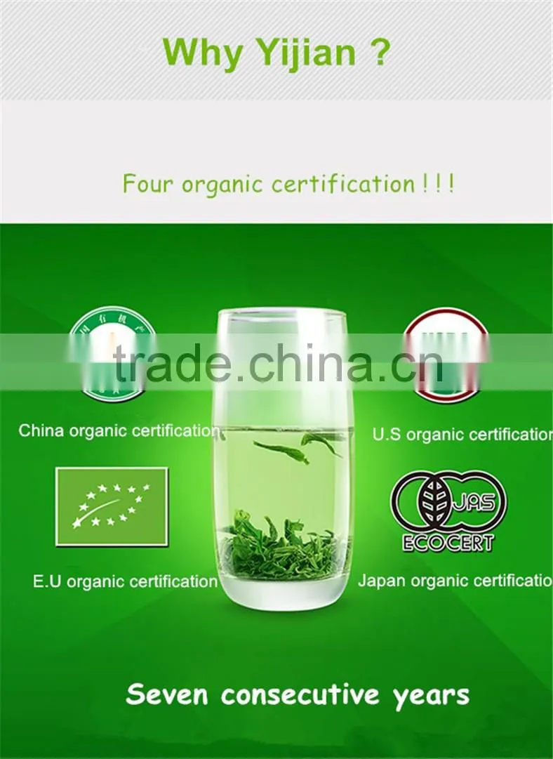 China organic curiosa bulk black Tea/bulk tea