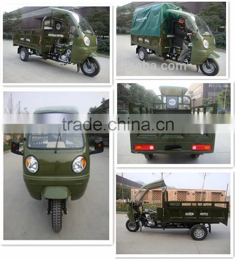 2016 New brand hot selling Adult Motorized Tricycle