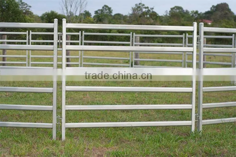 High quality galvinized cattle panels for sale
