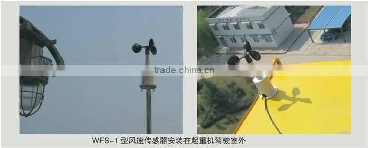 Wind speed indicator for cranes