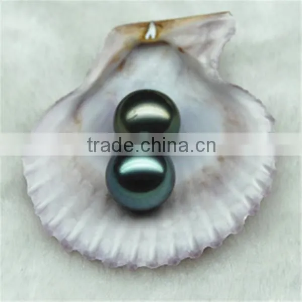 12-13mm peacock green Tahiti natural pearl
