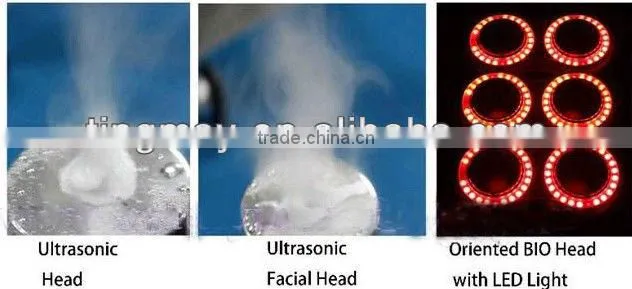 hot sale 40Khz (cavitation)ultrasound fat burning machine