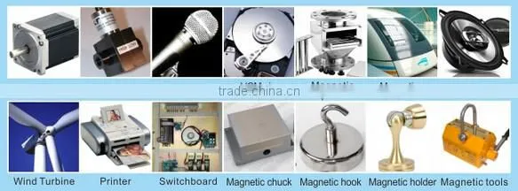 segment magnet