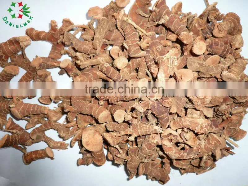 Dry Galangal roots