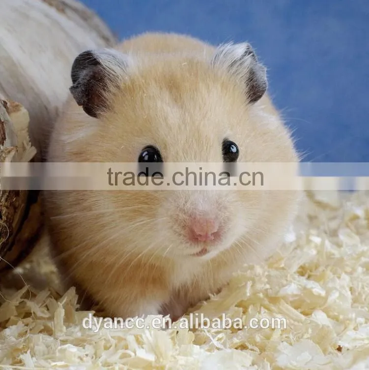 animal bed savings made by wood shaving machine