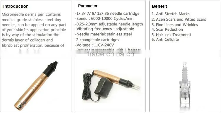 2016 Electric Charging home use dermapen / derma pen / meso pen