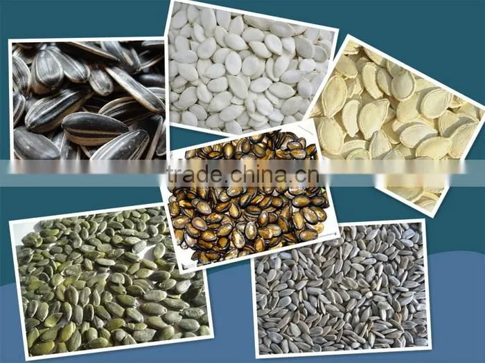 dried fruit sorting machine melon seeds color sorter